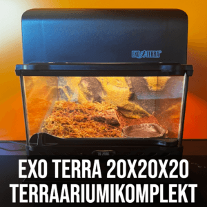 Exo-Terra 20x20x20cm Terraariumikomplekt