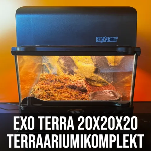 Exo-Terra 20x20x20cm Terraariumikomplekt