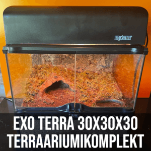 Exo-Terra 30x30x30cm Terraariumikomplekt