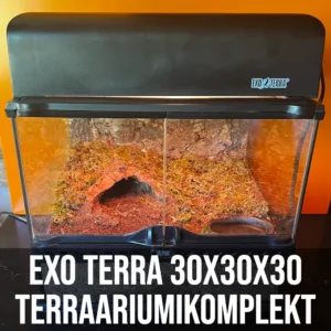 Exo-Terra 30x30x30cm Terraariumikomplekt